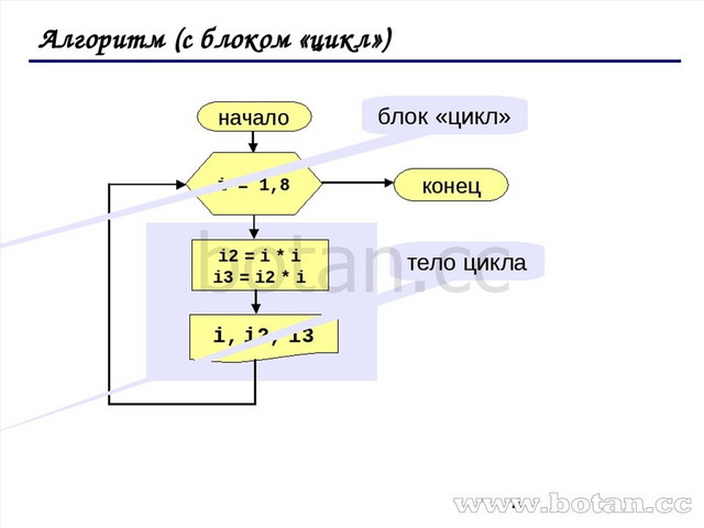 Блок схема while питон