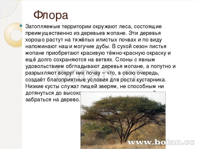 Подготовьте сообщение об одном из путешественников или исследователей африки по плану 7 класс