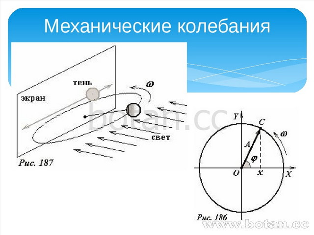 Гармонические колебания презентация 11 класс физика