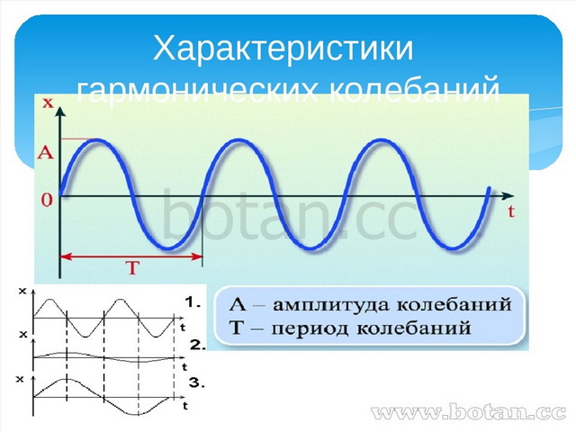 Графики колебаний физика