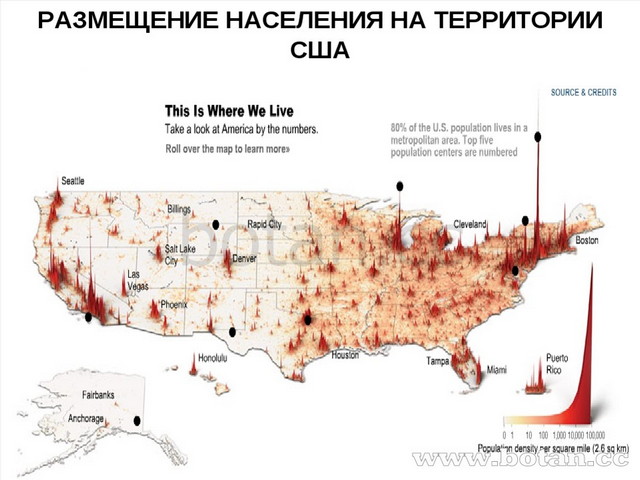 Презентация население и хозяйство сша