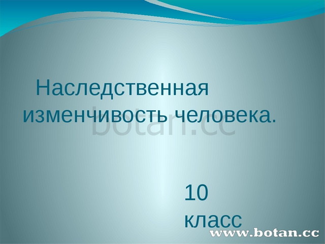 Наследственная изменчивость человека презентация 10 класс