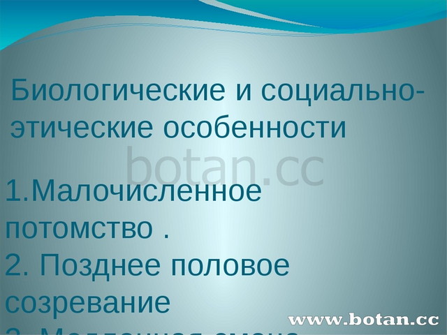 Презентация на тему изменчивость 10 класс