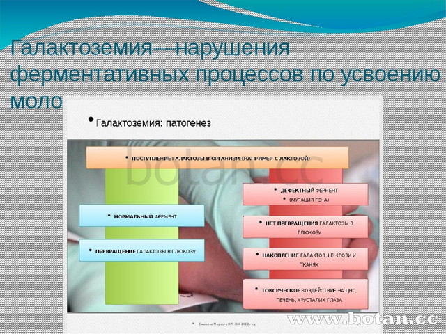 Наследственная изменчивость человека презентация 10 класс