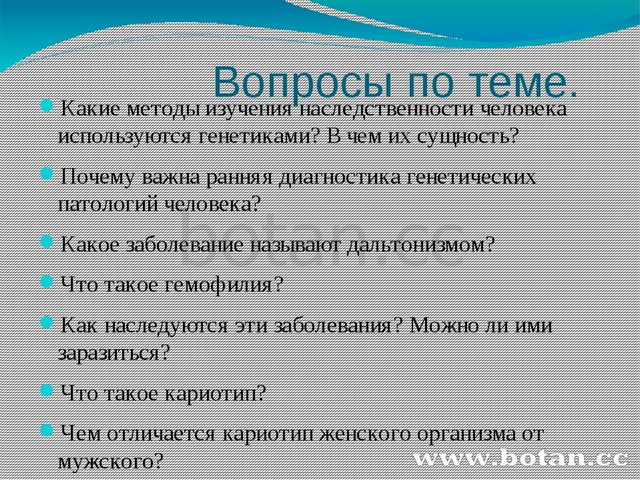 Презентация на тему изменчивость 10 класс биология