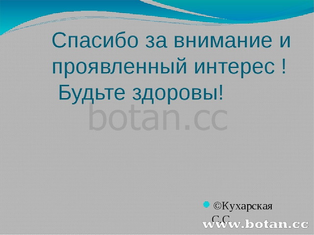 Презентация по биологии 10 класс изменчивость наследственная и ненаследственная