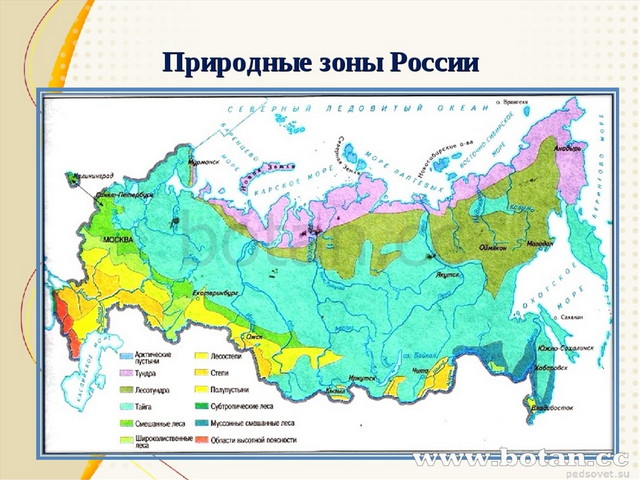 Проект 4 класс у черного моря