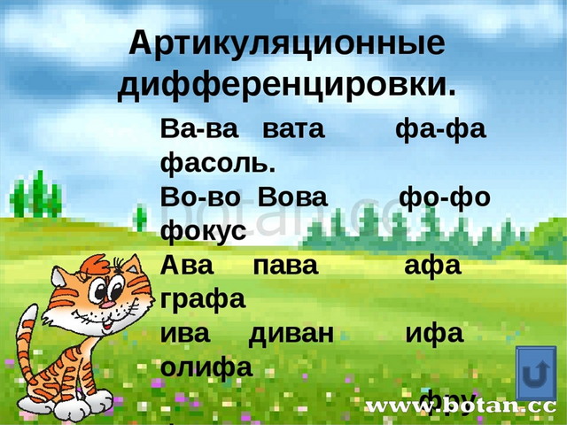 Дифференциация в ф картинки