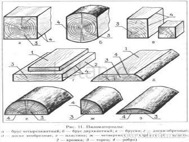 Виды древесины 5 класс технология. Пиломатериалы технология 5. Пиломатериалы и древесные материалы. Древесина и древесные материалы. Древисисна. Птло материалы и древемные материалы.