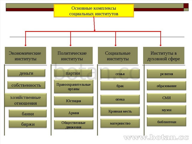 Современные институты культуры