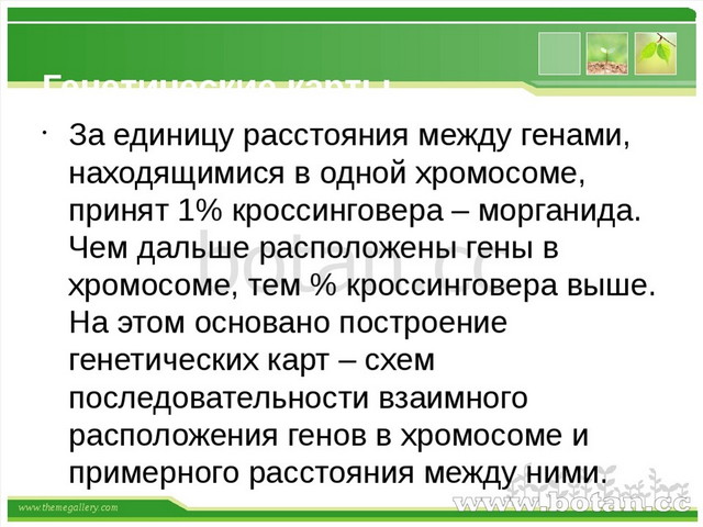 Хромосомная теория наследственности презентация