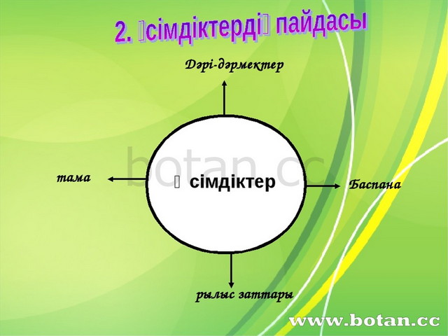 Филогенетикалық ағаш презентация