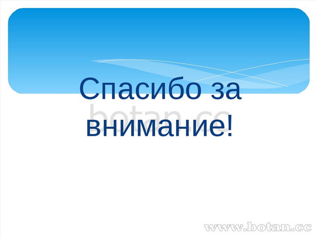 Темы для индивидуального проекта по английскому