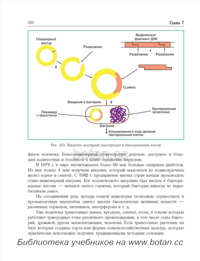 Получение инсулина методом генной инженерии презентация